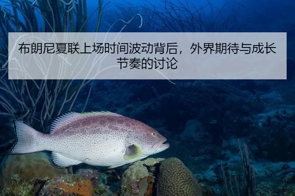 布朗尼夏联上场时间波动背后，外界期待与成长节奏的讨论